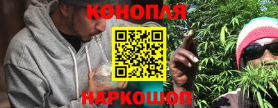сатива Канаш