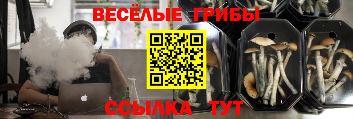 Галлюциногенные грибы прущие грибы Валуйки